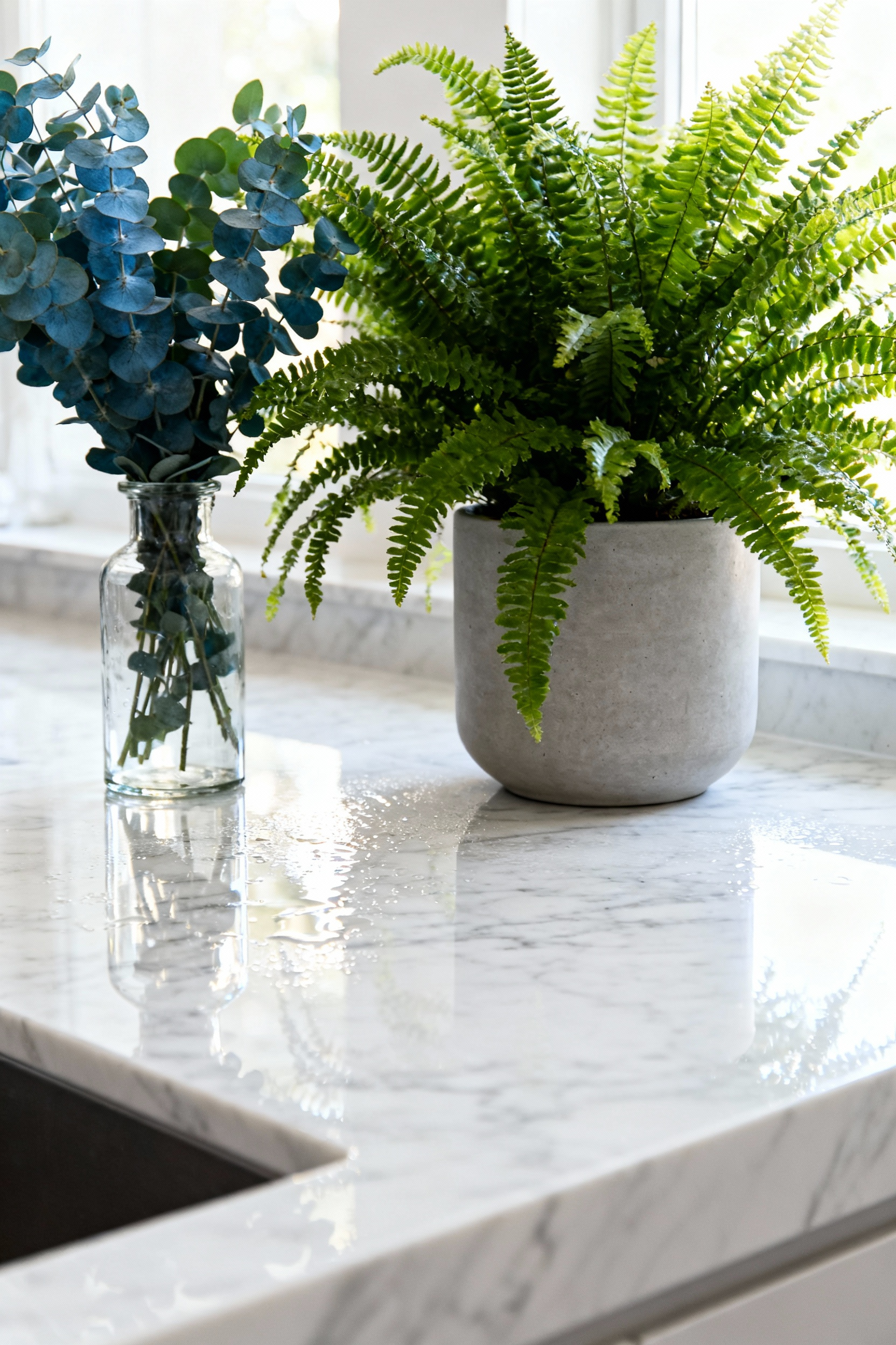 A lush Boston Fern and fresh eucalyptus bundles resting on a polished white marble bathroom counter under soft, bright natural light, illustrating natural air purification.